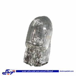 لامپ آریایی بزرگ 2 کنتاکت 9000601500